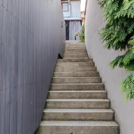 Orava Horizont - Jollien *