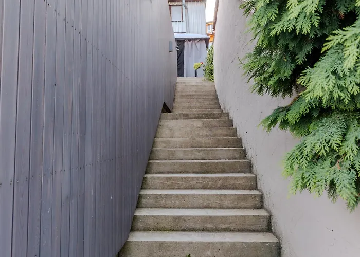 Orava Horizont - Jollien *